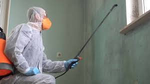 Biohazard Mold Removal in Pleasant Hill, MO